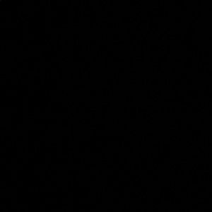 Meet your Posher, Meagan